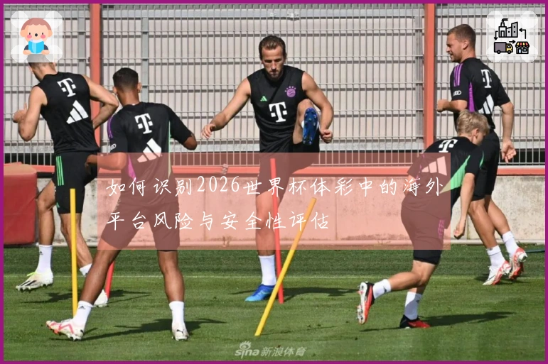 如何识别2026世界杯体彩中的海外平台风险与安全性评估