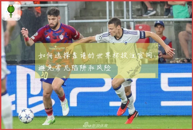 如何选择靠谱的世界杯投注官网，避免常见陷阱和风险