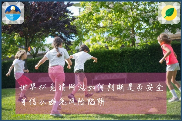 世界杯竞猜网站如何判断是否安全可信以避免风险陷阱