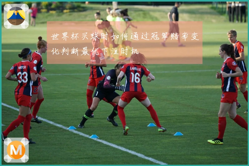 世界杯买球时如何通过冠军赔率变化判断最优下注时机