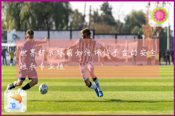 世界杯买球前如何评估平台的安全性和专业性
