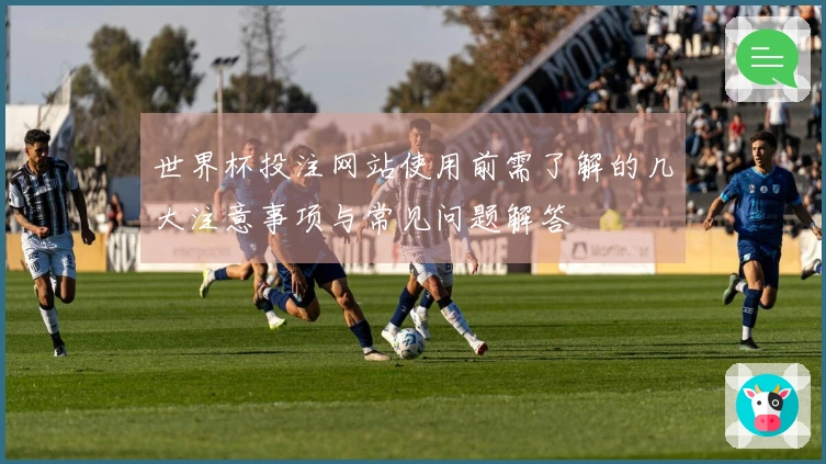 世界杯投注网站使用前需了解的几大注意事项与常见问题解答