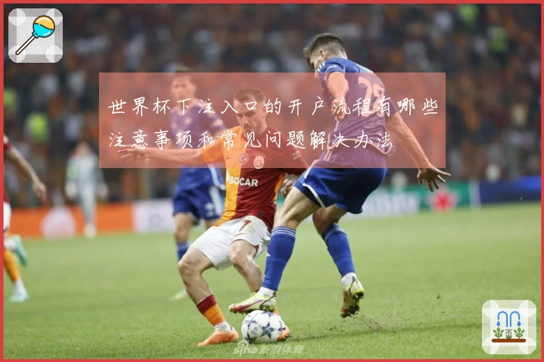 世界杯下注入口的开户流程有哪些注意事项和常见问题解决办法