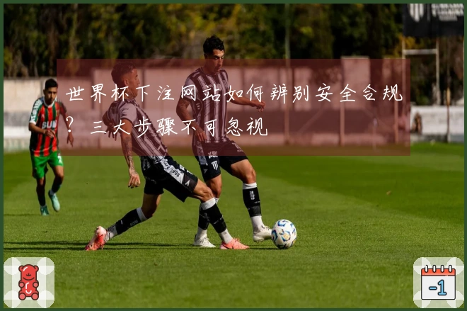 世界杯下注网站如何辨别安全合规？三大步骤不可忽视