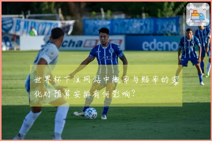 世界杯下注网站中概率与赔率的变化对预算安排有何影响？