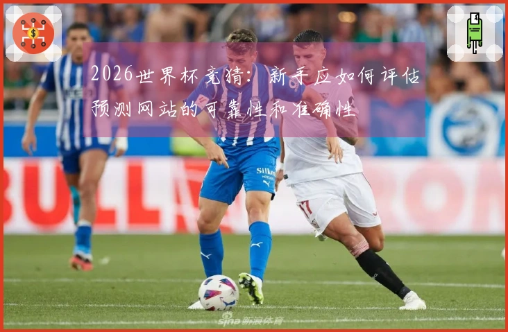 2026世界杯竞猜：新手应如何评估预测网站的可靠性和准确性