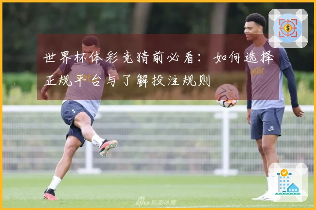 世界杯体彩竞猜前必看：如何选择正规平台与了解投注规则