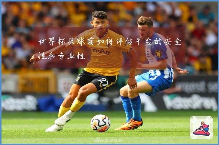 世界杯买球前如何评估平台的安全性和专业性