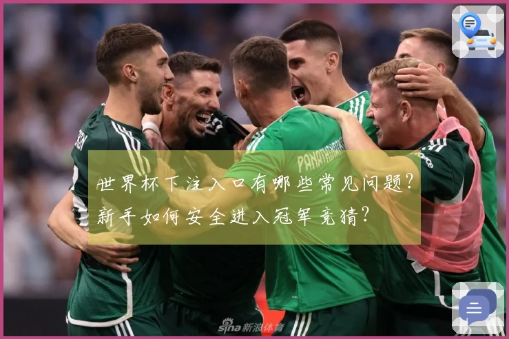 世界杯下注入口有哪些常见问题？新手如何安全进入冠军竞猜？