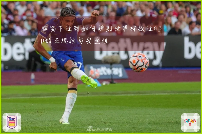 临场下注时如何辨别世界杯投注app的正规性与安全性