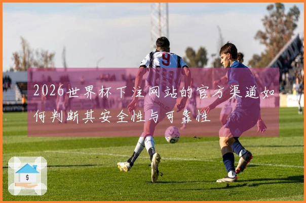 2026世界杯下注网站的官方渠道如何判断其安全性与可靠性