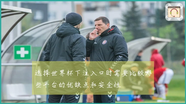 选择世界杯下注入口时需要比较哪些平台的优缺点和安全性
