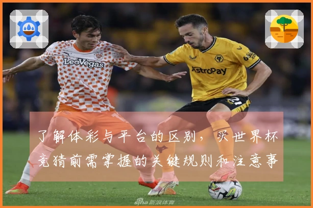 了解体彩与平台的区别，买世界杯竞猜前需掌握的关键规则和注意事项