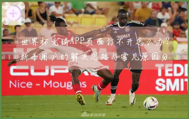世界杯竞猜APP页面打不开怎么办？新手用户的解决思路与常见原因分析